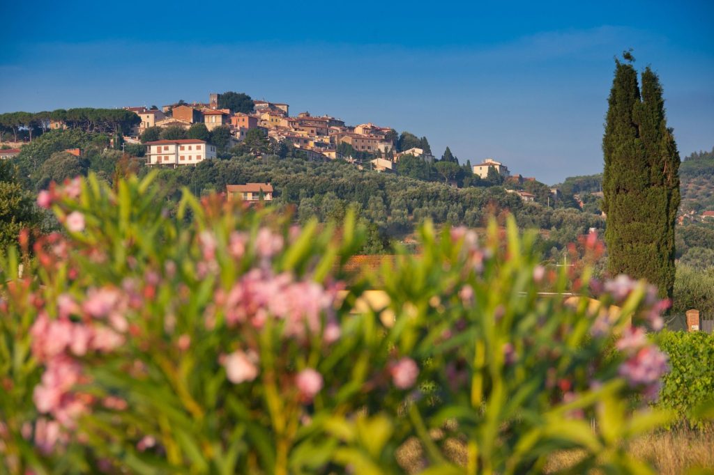 5 things to see in Castagneto Carducci