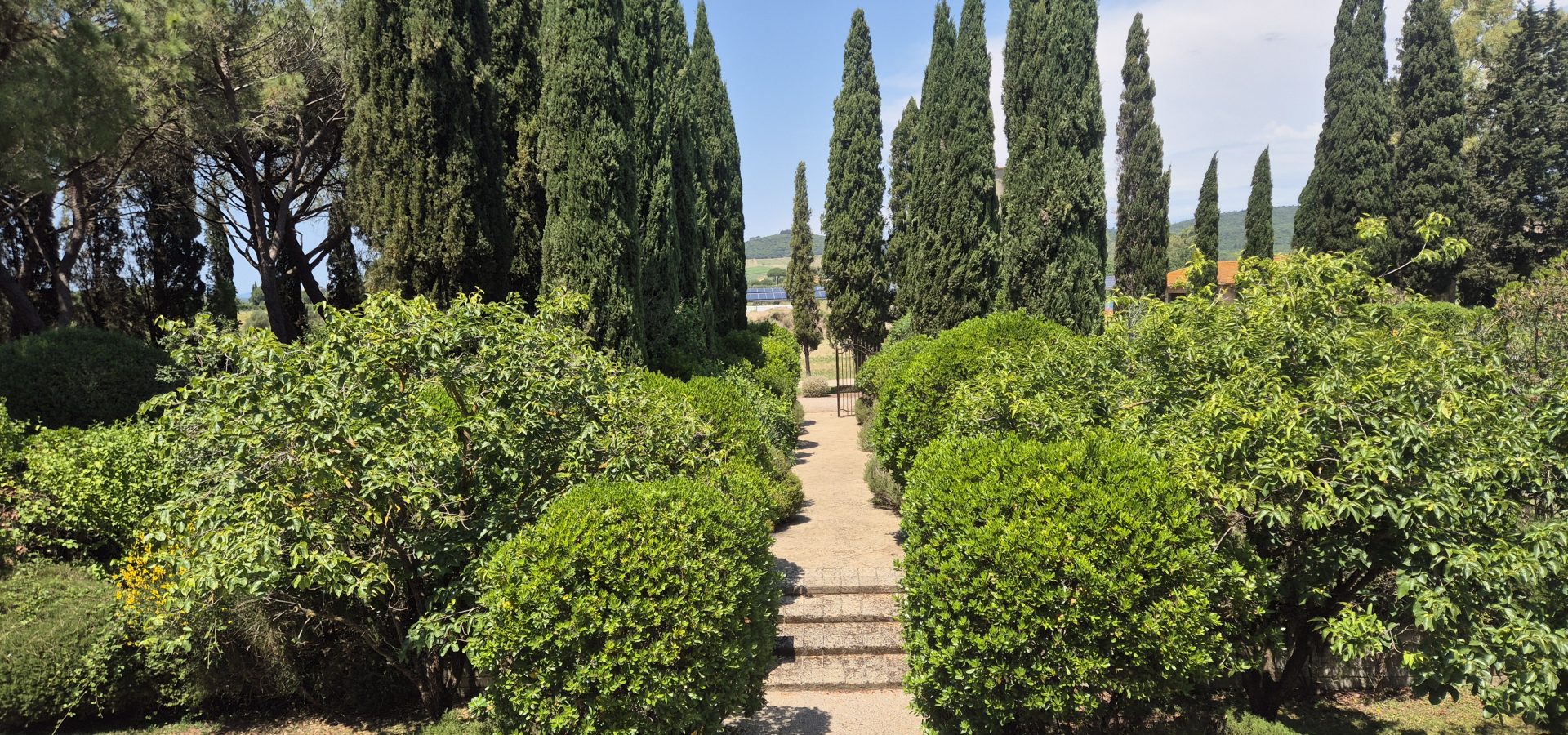 Maremma